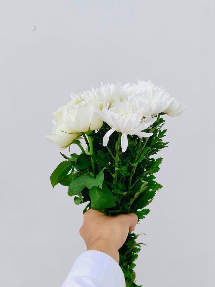 services-03 A hand holding a bouquet of white flowers against a plain background, emphasizing simplicity and elegance.